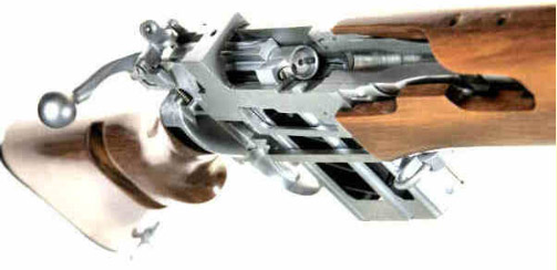 rifle cutaway