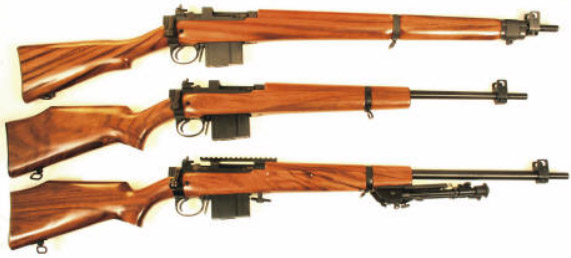 AIA's rifles